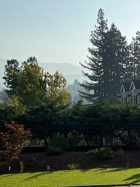 views from window