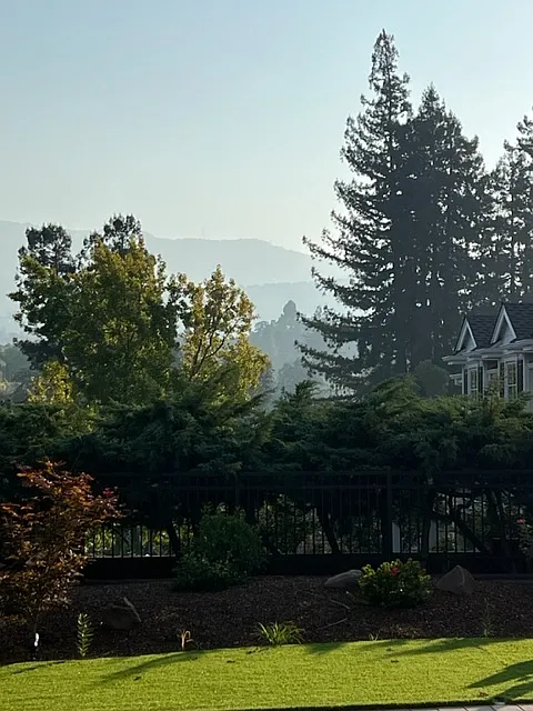 views from window