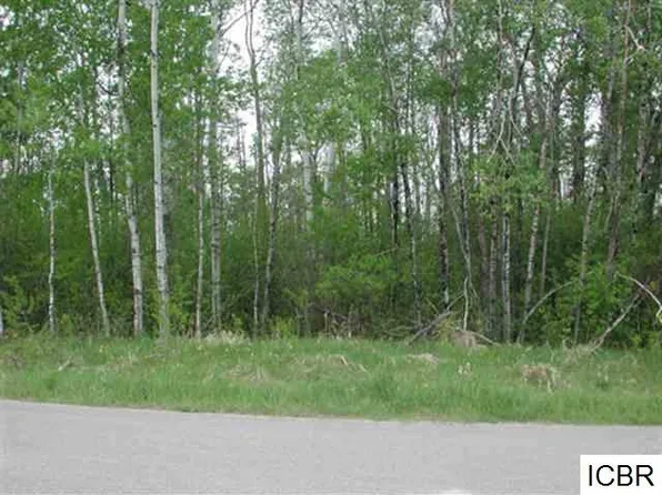 LOT 1 Aspen Dr, Deer River, MN 56636