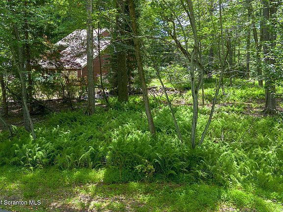 4th image of 3217 Beech Ridge Dr