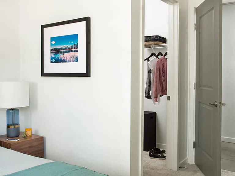 Spacious apartment bedroom with large closet and plush carpet flooring.