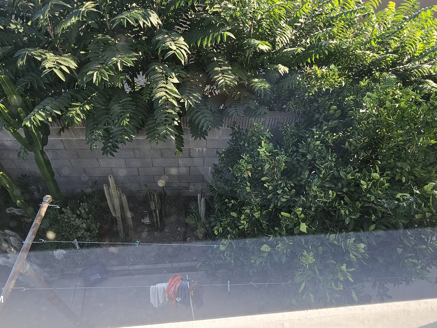 1 bed, 750 sqft, $1,750 — Photo 3