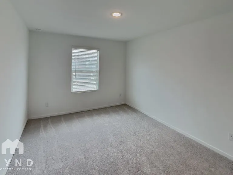 7354 Orange Sapphire — Photo 16