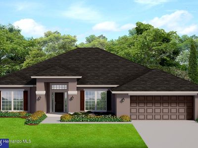 12097 Pioneer Ave, Weeki Wachee, FL, 34614