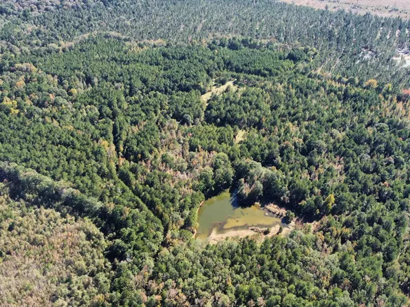 Bradley 52 Rd, Hermitage, AR 71647