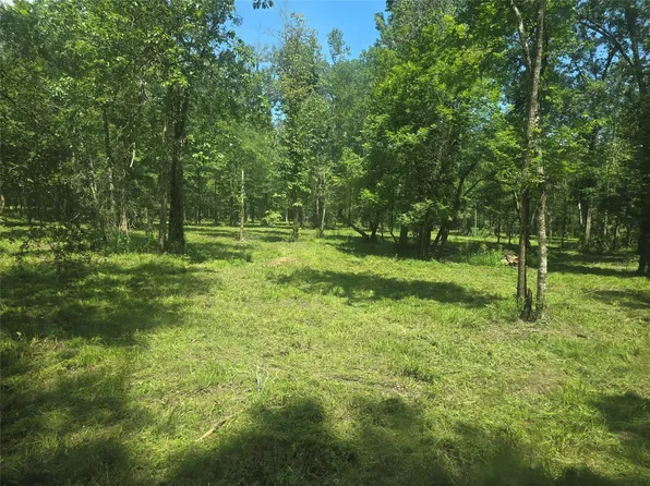 Tymel Ln, Cleveland, TX 77328