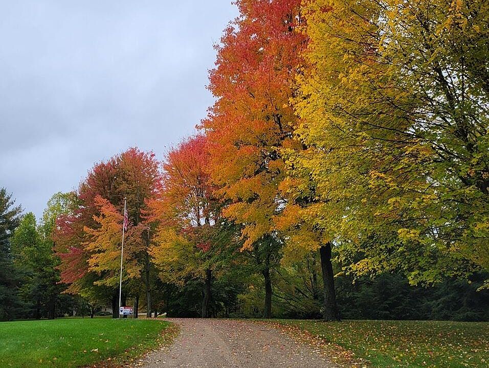 6900 Sargent Rd, Jackson, MI 49201 Zillow