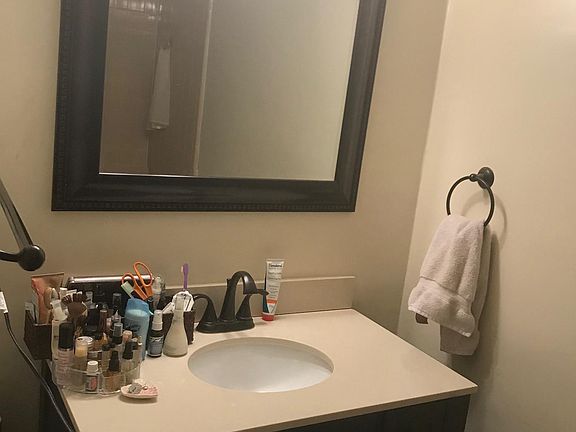 Master bathroom sink and mirror (walkin shower)