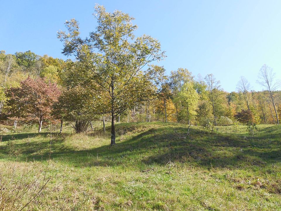 61st image of this home