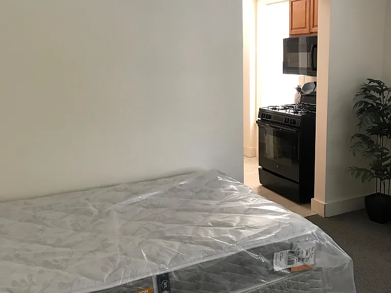 117 Dewitt Pl #2 — Photo 7