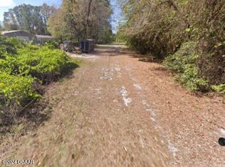 205 SE 3rd St, Georgetown, FL 32139