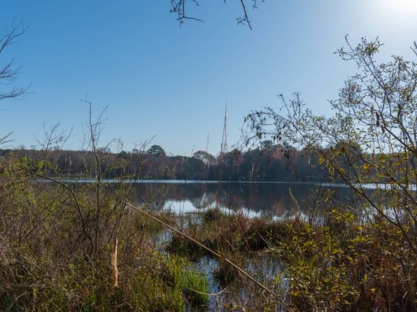 0 Folds Rd, Pineview, GA 31071