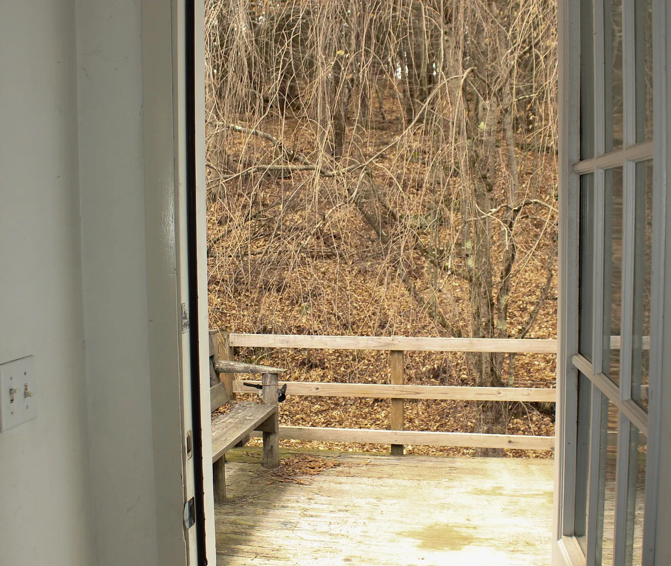 2 bed, 800 sqft, $1,300 — Photo 3