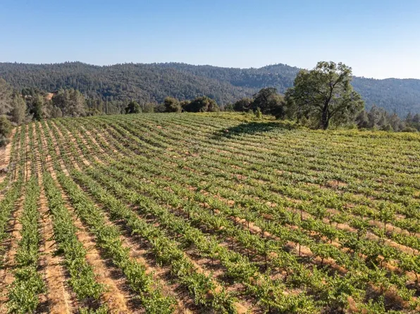 5200 Butte Creek Rd, Somerset, CA 95684
