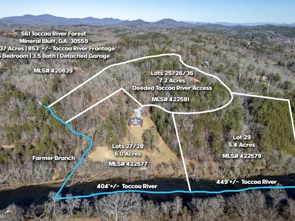 LOT 29 Toccoa River Frst, Mineral Bluff, GA 30559