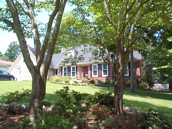 Looking through two of the many Dogwoods in the front yard