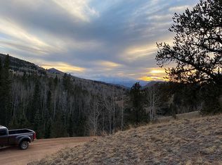 95 Fairview Dr, Cripple Creek, CO 80813
