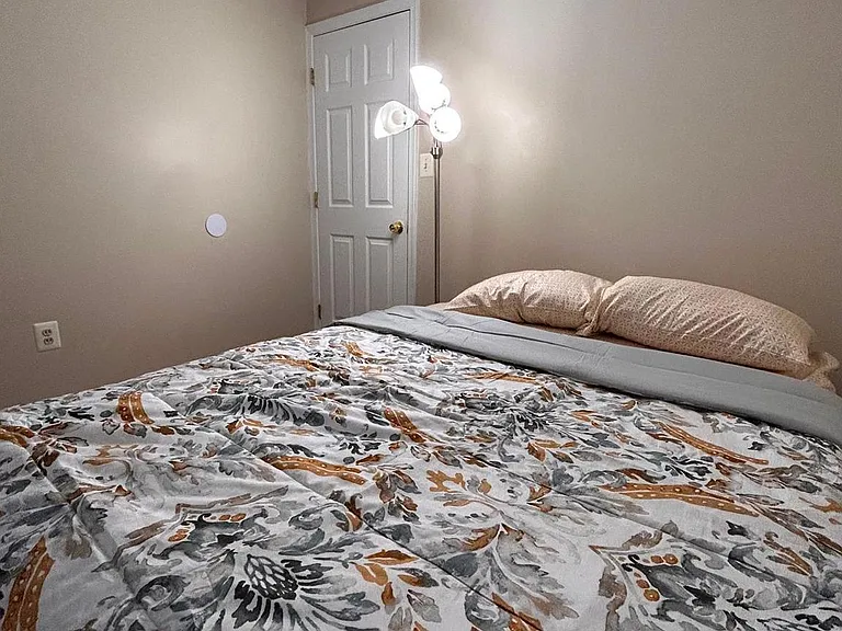 8 Trout Lily Ct — Photo 4