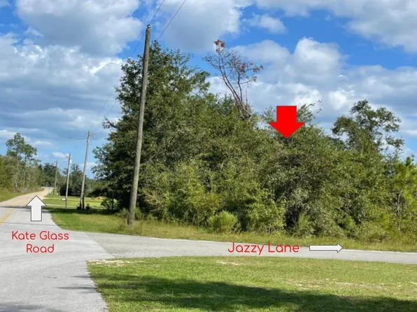 102 Jazzy Ln, Wewahitchka, FL 32465