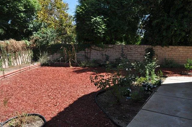 2174 Shadetree Ln — Photo 18
