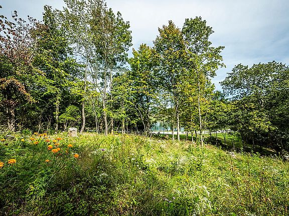 1 View from Homesite