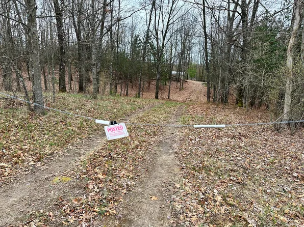 16 Mile Rd, Reed City, MI 49677