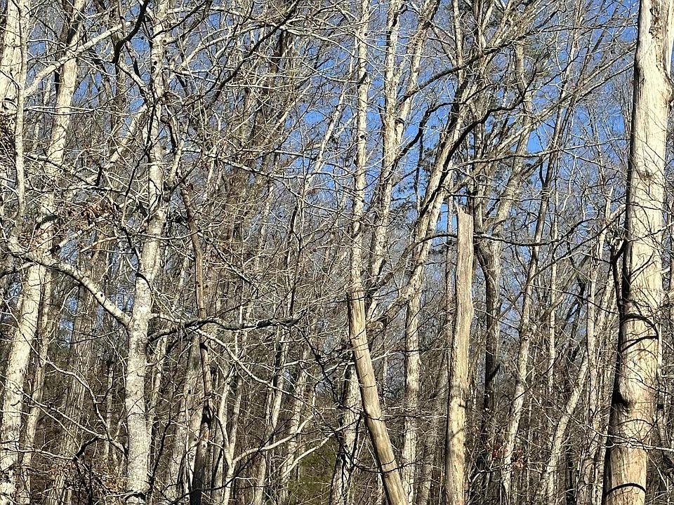 2nd image of 2 Lower River Rd NW Lot 2