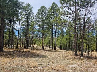 830 Elk Ridge Dr, Happy Jack, AZ 86024