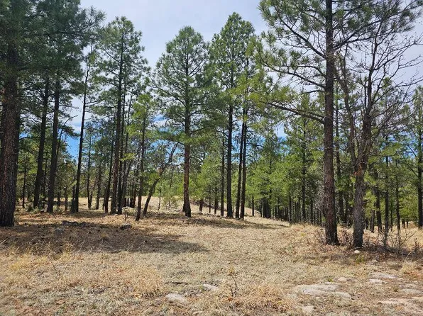 830 Elk Ridge Dr, Happy Jack, AZ 86024