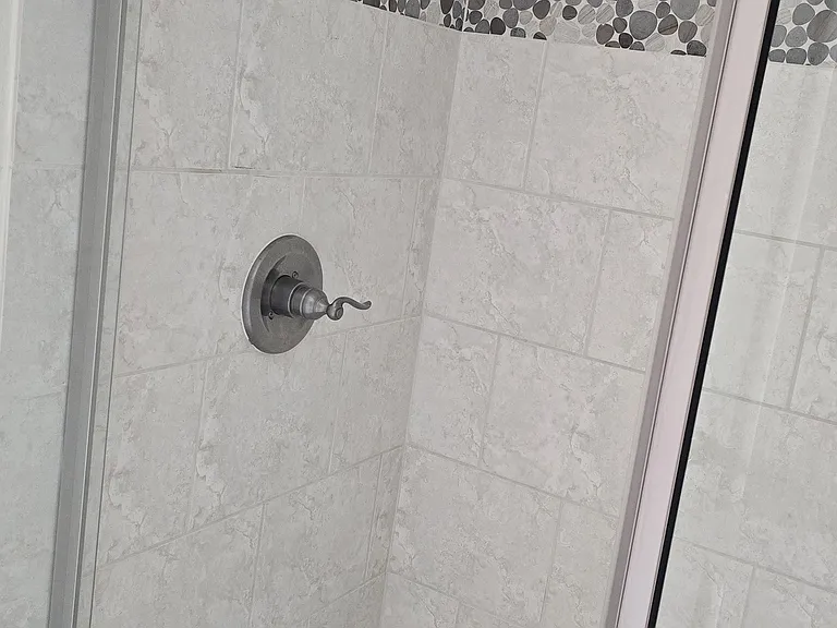 Master Bathroom Shower
