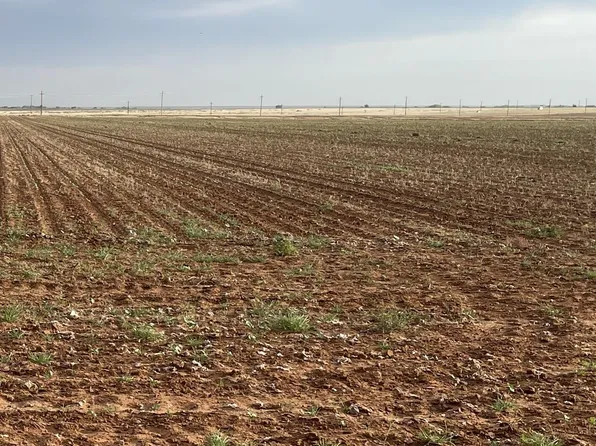 Fm 2411 Fm 2411, Lamesa, TX 79331