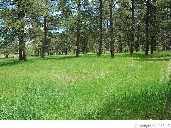 One of the 3 separate fenced pastures.