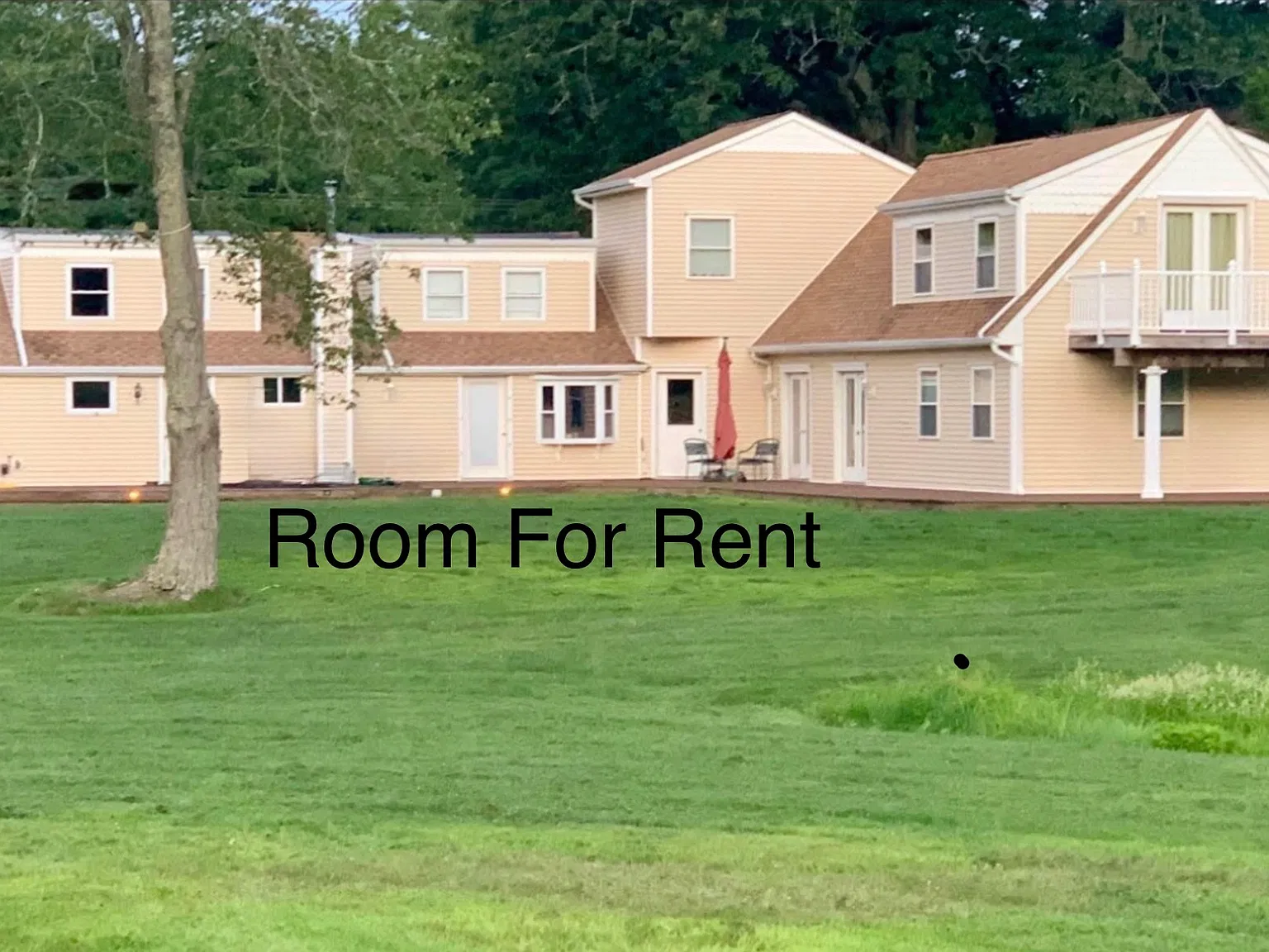 1 bed, 4943 sqft, $900 — Photo 3