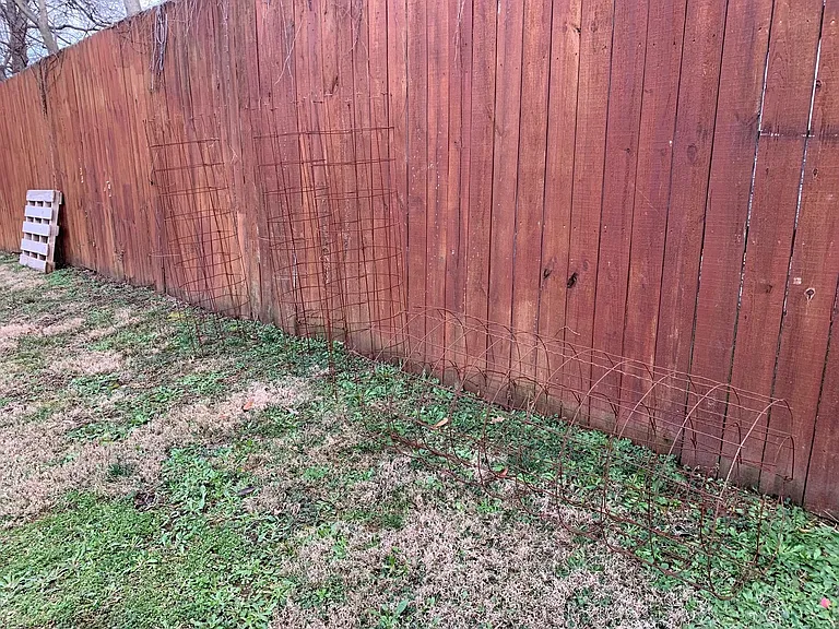 Tomato Cages