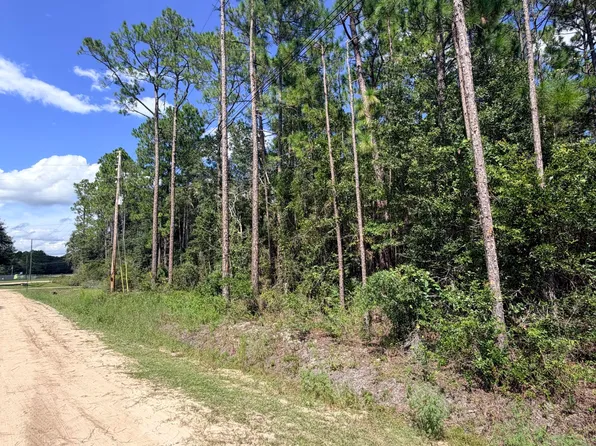 2283 CHERVIL Court, Middleburg, FL 32068