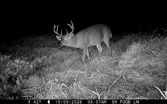 4th image of W9006 FOREST AVENUE