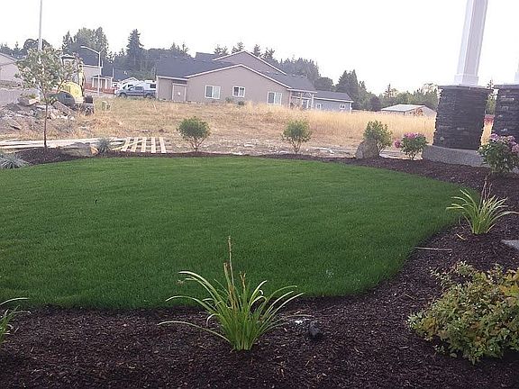 front yard lawn