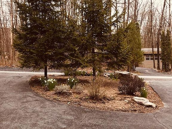 3rd image of 9167 Sherwood Dr