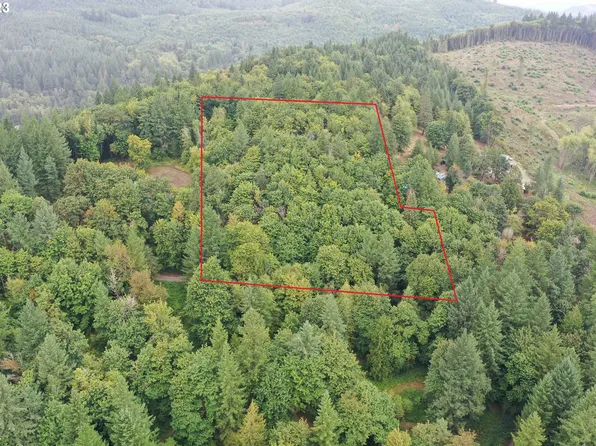 0 NE 436th St, Amboy, WA 98601