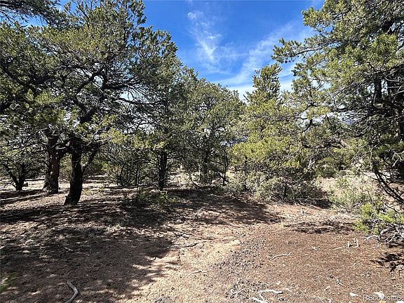 4th image of 3545 Fallen Tree Place