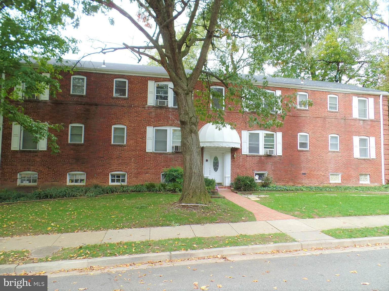 1 bed, 600 sqft, $1,600 — Photo 1