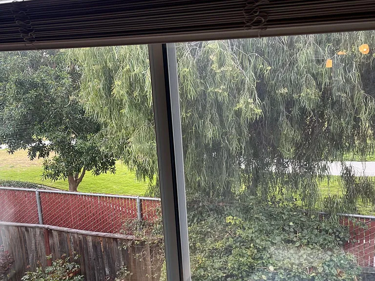 master bedroom view (facing Fuller Park)