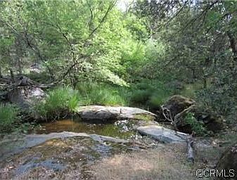 4th image of 54689 Pinchot Dr