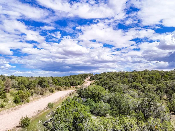 0 W Elkhorn Pass 36 Acres -- #-, Seligman, AZ 86337