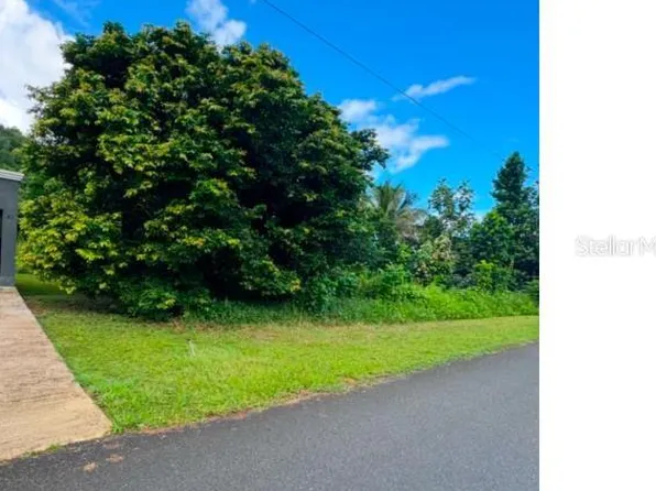 Prados De Rio, Florida, PR 00650