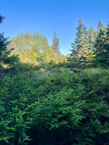 Lot #2 Pequot Road, Vinalhaven, ME, 04863