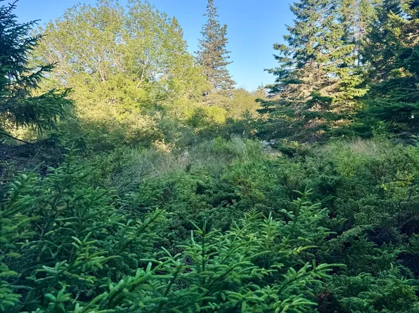 Lot #2 Pequot Road, Vinalhaven, ME 04863