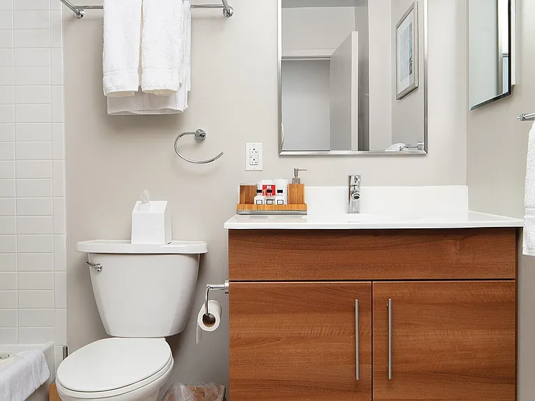 207 Model Home - Bathroom