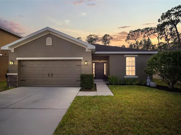 8307 Tidal Breeze Dr, Riverview, FL 33569