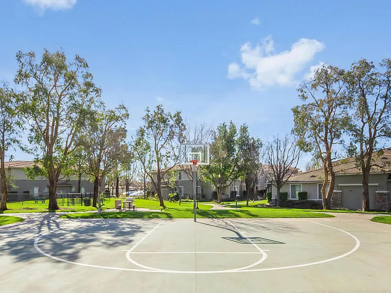 On-Site Basketball Court with Shaded Seating and Nearby Walking Paths